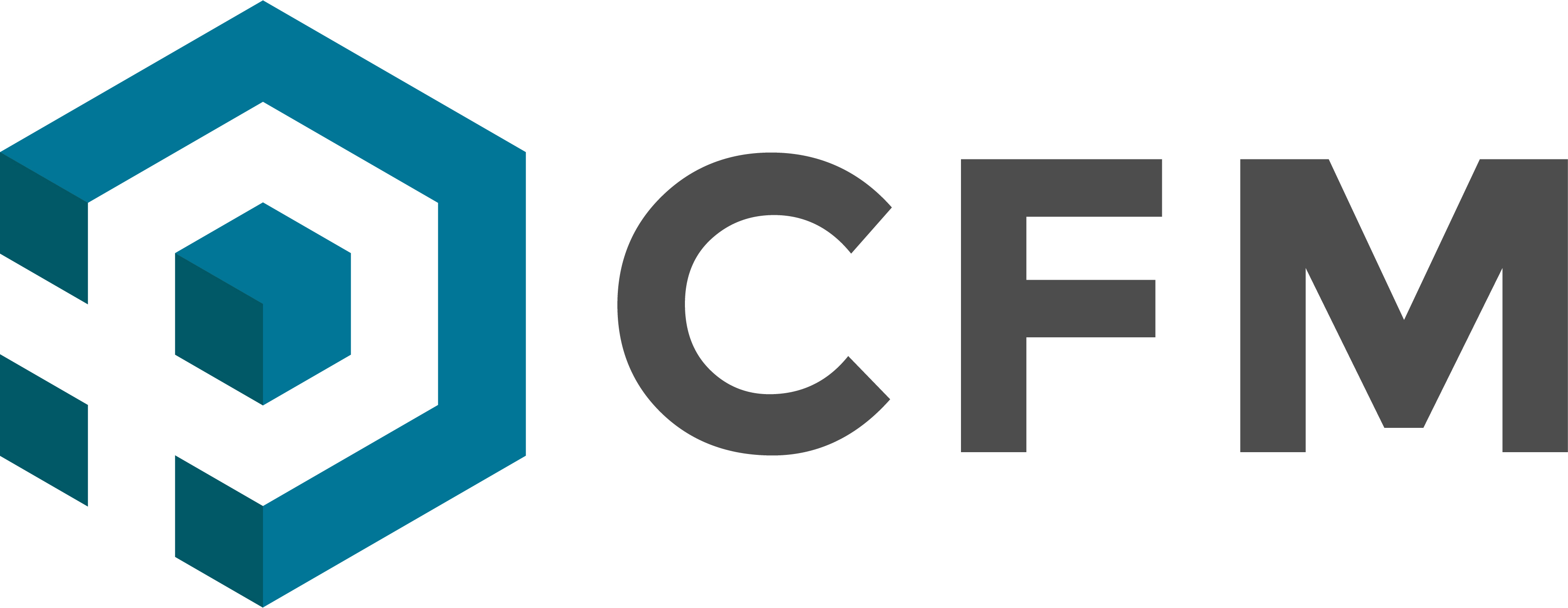 CFM logo6